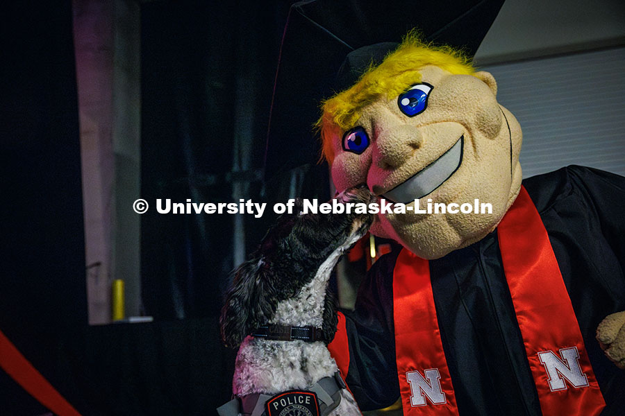 250517_Commencement_0163.jpg Cash the University Police therapy dog poses for a picture with Herbie at the May 2025 Commencement