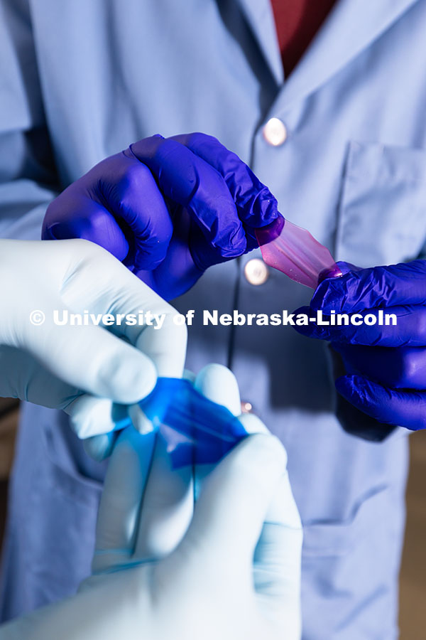 Stephen Morin, Associate Professor of Chemistry, and doctoral student Brennan Watts hold two colorfu