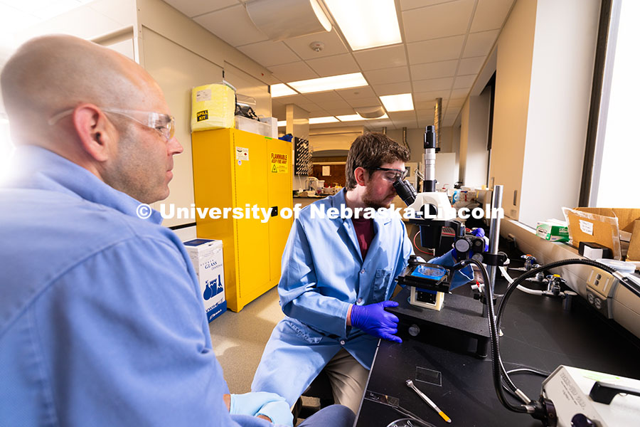 250604_Morin_Watts_9483.jpg Brennan Watts, a fourth-year doctoral student, looks through a microscope at a checkerboard-patterne
