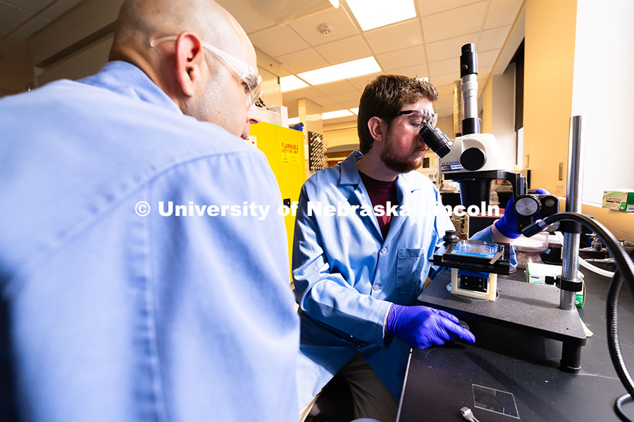 250604_Morin_Watts_9488.jpg Brennan Watts, a fourth-year doctoral student, looks through a microscope at a checkerboard-patterne