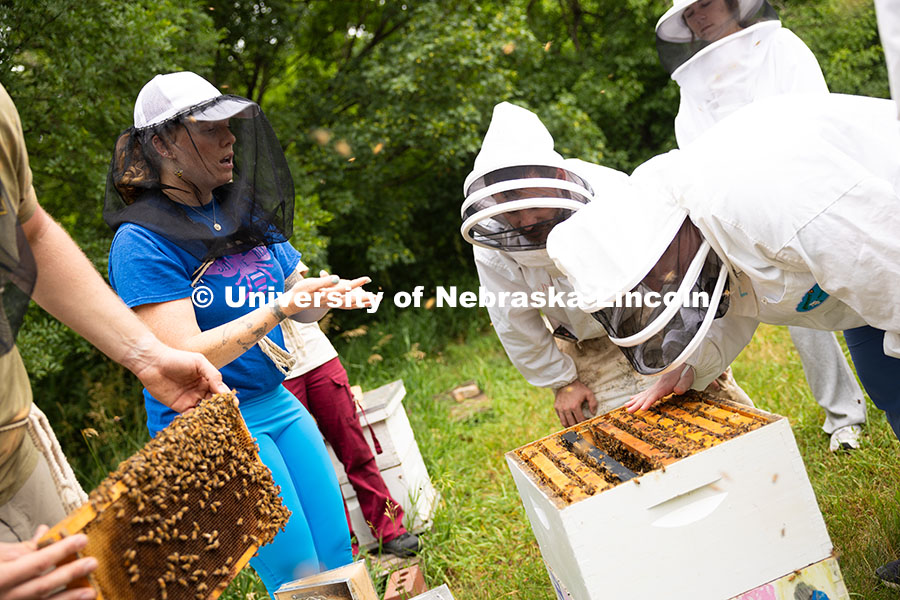250624_Bee_Yoga_0850.jpg Bees fly around participants during a bee wellness and yoga session held by the Bee Lab. Courtney Br