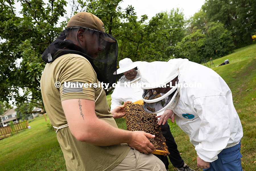 250624_Bee_Yoga_0928.jpg Christina Imus gently pets honeybees on a frame held by Sheldon Brummel, Bee Lab Research Project Co