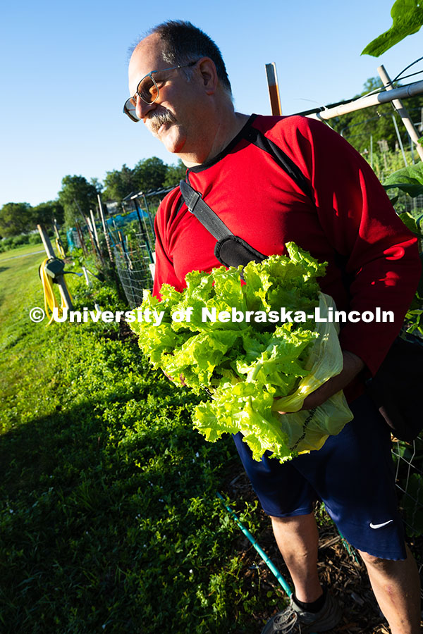 250701_Community_Garden_2402.jpg Mark Mesarch holds a bag of lettuce grown in his plot in the East Campus Community Gardens. There ar
