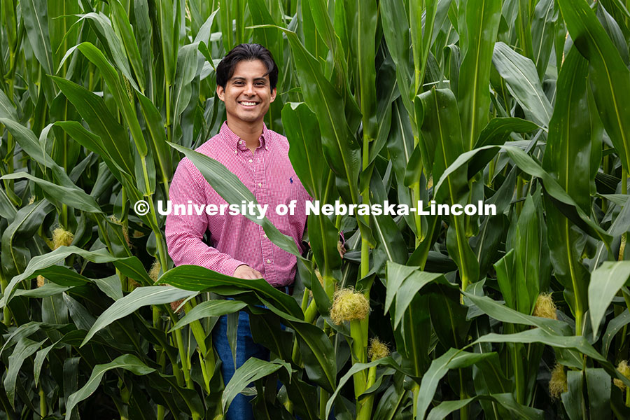 Vladimir Torres-Rodriguez, a research assistant professor in agronomy and horticulture, poses by hyb