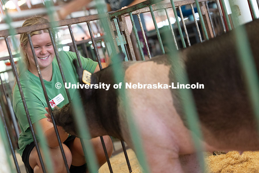 Kristen Herrick, 4-H Extension Assistant, greets a 4-H pig. As a 4-H'er herself, she showed pigs and