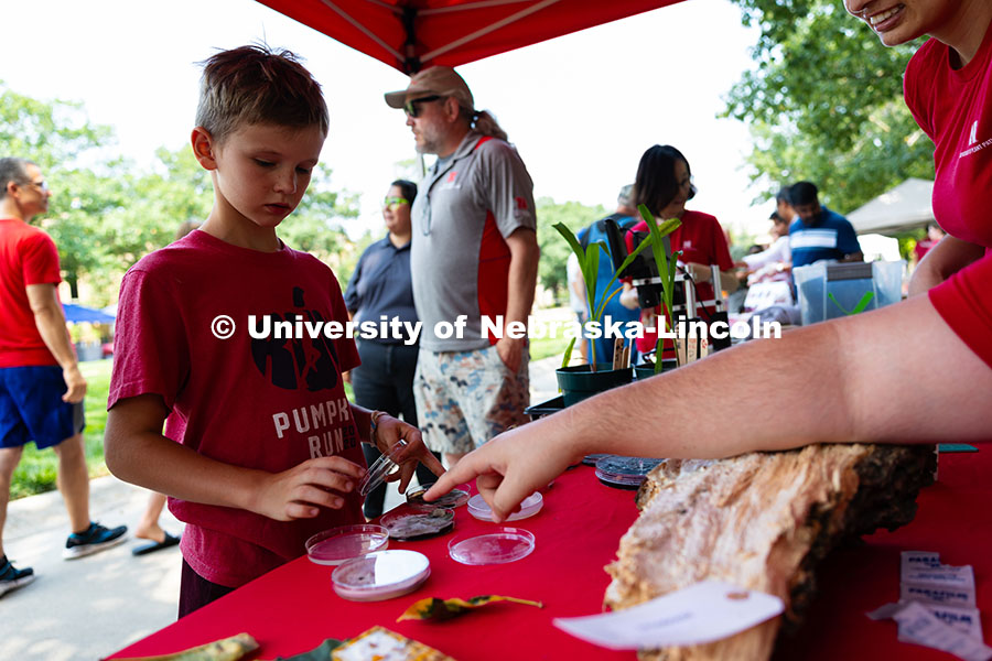 Bennett Zylstra, 10, "pets" a fluffy fungus in a petri dish before rubbing his finger onto a growing