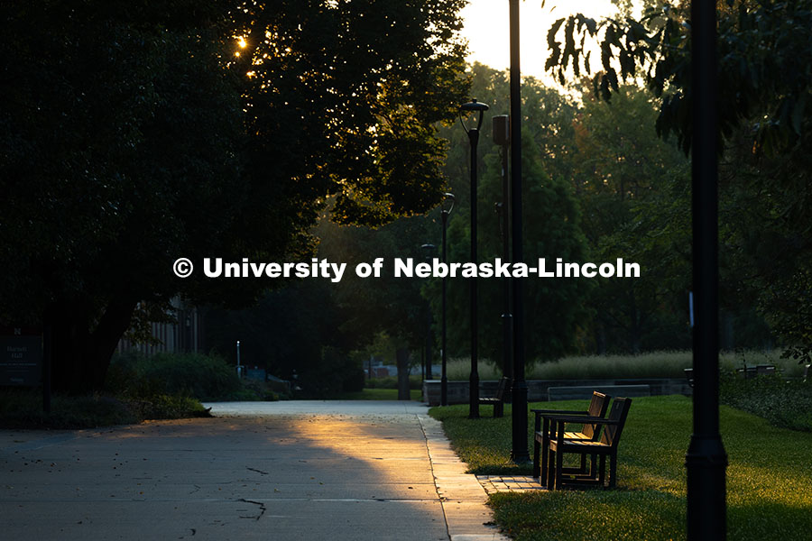 Late summer morning light filters through the trees in front of Burnett Hall before students begin m