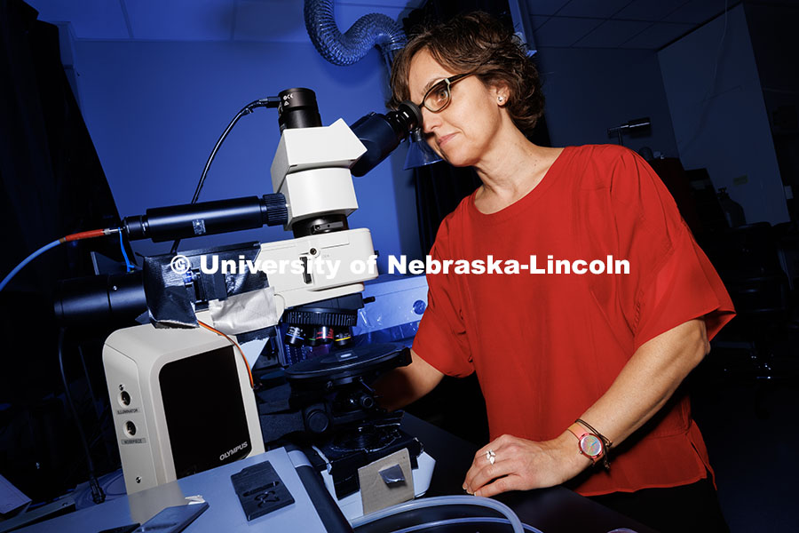 Lucia Fernandez-Ballester, Assistant Professor in Mechanical and Materials Engineering, observes a p