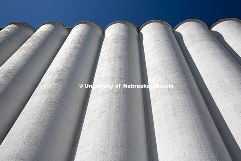 Wheat harvested is trucked to grain elevators including Frenchman Valley Coop in Grant, NE. Agricult