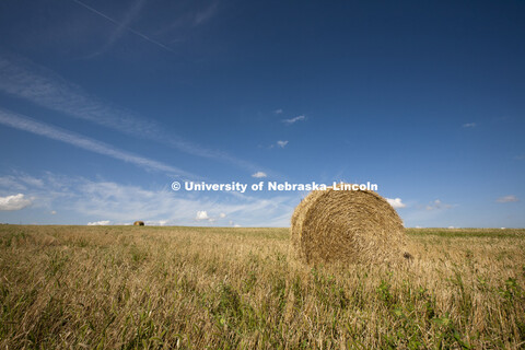 Agriculture photo shoot, Central Nebraska. 