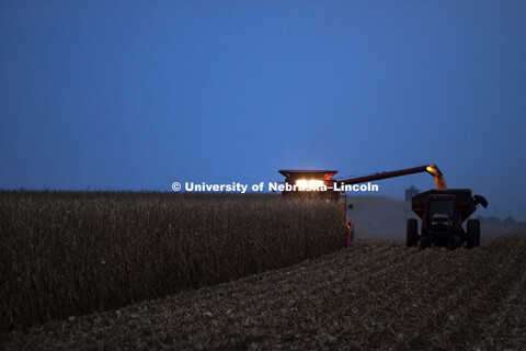 Corn harvest between Dorchester and York. October, 11, 2010.  
