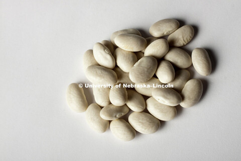 Great Northern Beans photographed in studio. 110726, 