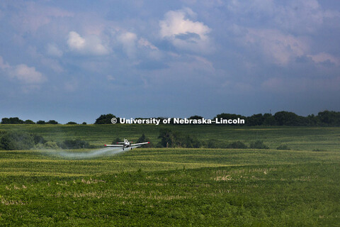 Aerial spraying above corn and soybean fields southeast of Lincoln. July 27, 2015. 