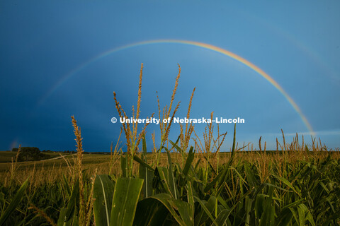 Rainbow over a cornfield southeast of Lincoln, NE. August 5, 2016. 