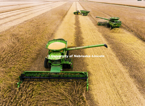 Soybean harvest by the Spohn Farms combine crew near Friend, NE. October 3, 2016. 