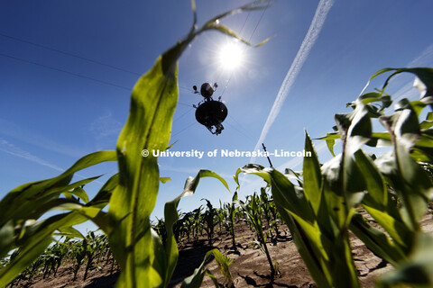 Phenotyping equipment at the University of Nebraska Agricultural Research and Development Center nea