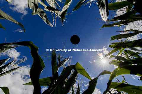 Phenotyping equipment at the University of Nebraska Eastern Nebraska Research and Extension Center (