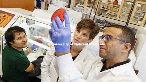 Amanda Ramer-Tait looks over samples of mice gut bacteria with graduate students Rafael Segura, left