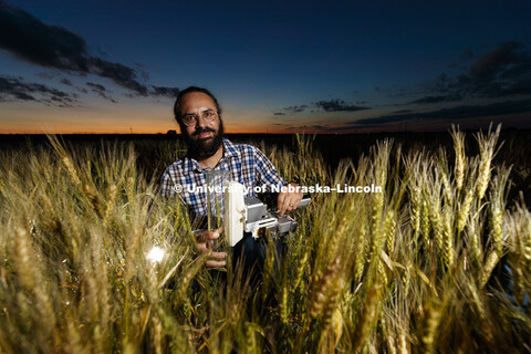 Harkamal Walia measures the carbon being expired by a head of wheat. Walia's research involves measu