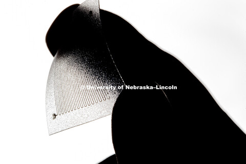 Nebraska researchers Stephen Morin, and graduate student Abhi Konda, have developed a simpler, less 