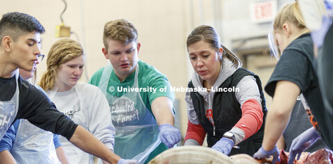 Toni Rasmussen, agriculture education teacher at Wayne High School, works with her class as they dis