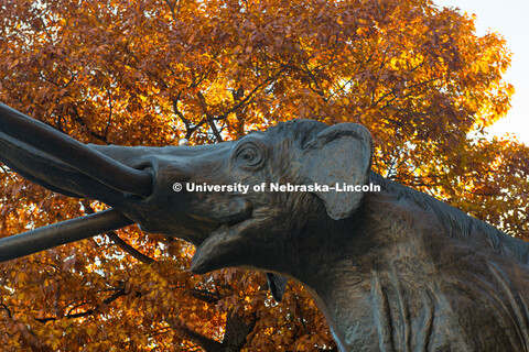 Fall on City Campus. October 29, 2018. 