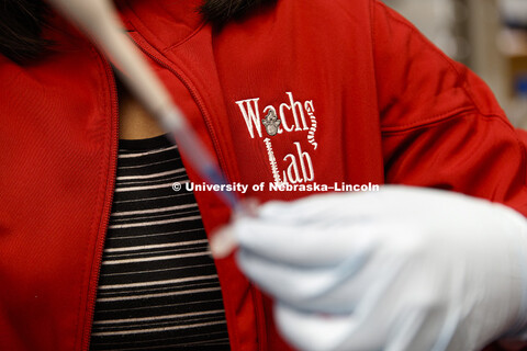 Rebecca Wachs lab in Chase Hall. The Nebraska Center for Integrated Biomolecular Communication (NCIB