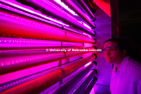 Kathleen Mannino, sophomore from St. Louis, MO, eyes the experiment using algae and certain waveleng