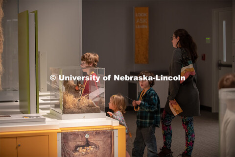 "Cherish Nebraska," a new exhibition on the fourth floor of the University of Nebraska State Museum 