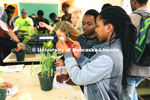 Various photos with Assistant Professor Andrea Basche, Agronomy and Horticulture. April 17, 2019. 