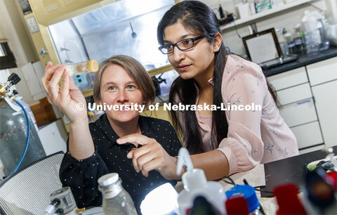 Kristi Montooth, left, and Omera Matoo examine fruit flies in the lab. They've found that mutant fli