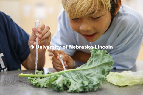 Elementary-age students in Omaha's Kennedy Elementary place droplets of water on kale to learn about
