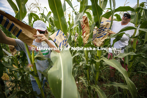 Leandra Parsons, PhD student from Oakley, KS, and David Holding, Associate Professor of Agronomy and
