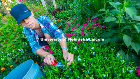 Ann Powers Research Technician, Agronomy and Horticulture, works in the Backyard Farmer Gardens. Tod