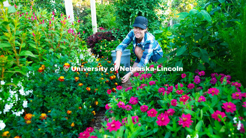 Ann Powers Research Technician, Agronomy and Horticulture, works in the Backyard Farmer Gardens. Tod