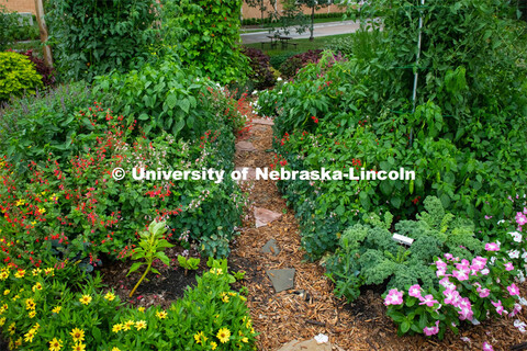 Backyard Farmer garden on UNL’s East Campus. August 7, 2019. 