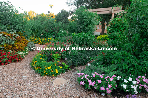 Backyard Farmer garden on UNL’s East Campus. August 7, 2019. 