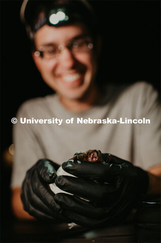 Nebraska graduate student Christopher Fill is studying the patterns of bats living at Homestead Nati