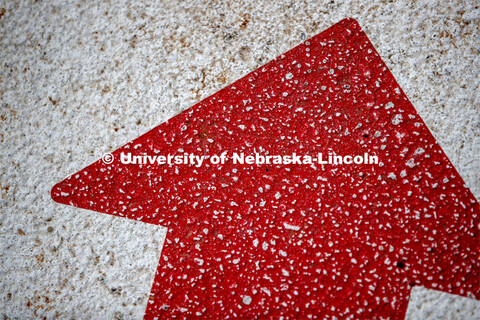 A red arrow on the sidewalk points students to the Husker Hub located in the Love Library. March 2, 