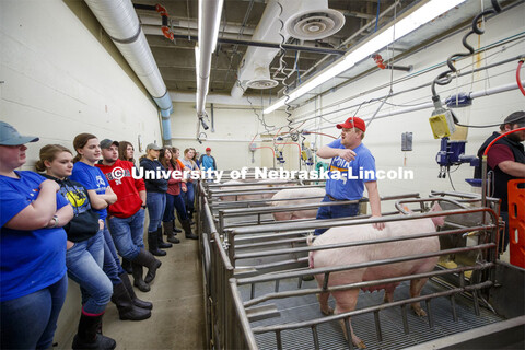 Benny Mote, assistant professor in Animal Science, lectures on artificial insemination to students i