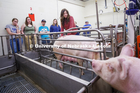 Students in ASCI 150 - Animal Production Skills. March 12, 2020. 