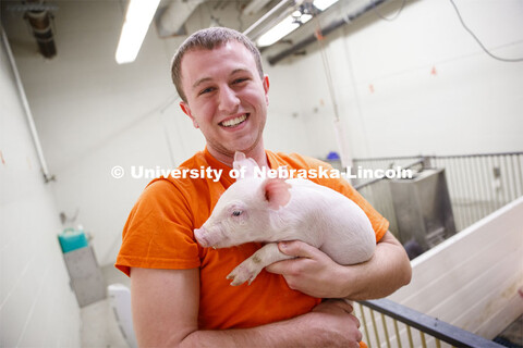 Clayton Thomas, freshman in Animal Science from Bloomington, IL, holds a baby pig. Students in ASCI 