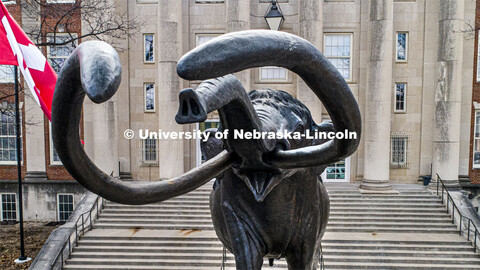 Archie, the mammoth sculpture, stands guard outside of Morrill Hall as the Husker flag waves in the 