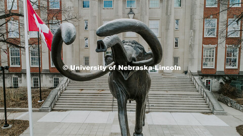 Archie, the mammoth sculpture, stands guard outside of Morrill Hall as the Husker flag waves in the 