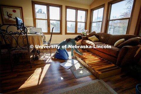 Mackenzie Zwiener, graduate student in agronomy, works with sorghum seeds in her family home in Linc