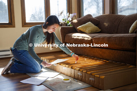 Mackenzie Zwiener, graduate student in agronomy, works with sorghum seeds in her family home in Linc