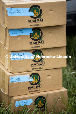 Boxes full of seed packets await their turn for planting. James Schnable corn research group plants 