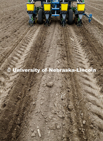 James Schnable corn research group plants at agronomy fields at 84th and Havelock in northeast Linco