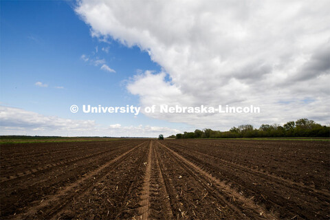 James Schnable corn research group plants at agronomy fields at 84th and Havelock in northeast Linco