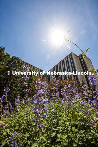 Exterior photo of Avery Hall. Avery Hall classrooms are being measured for fall social distancing of